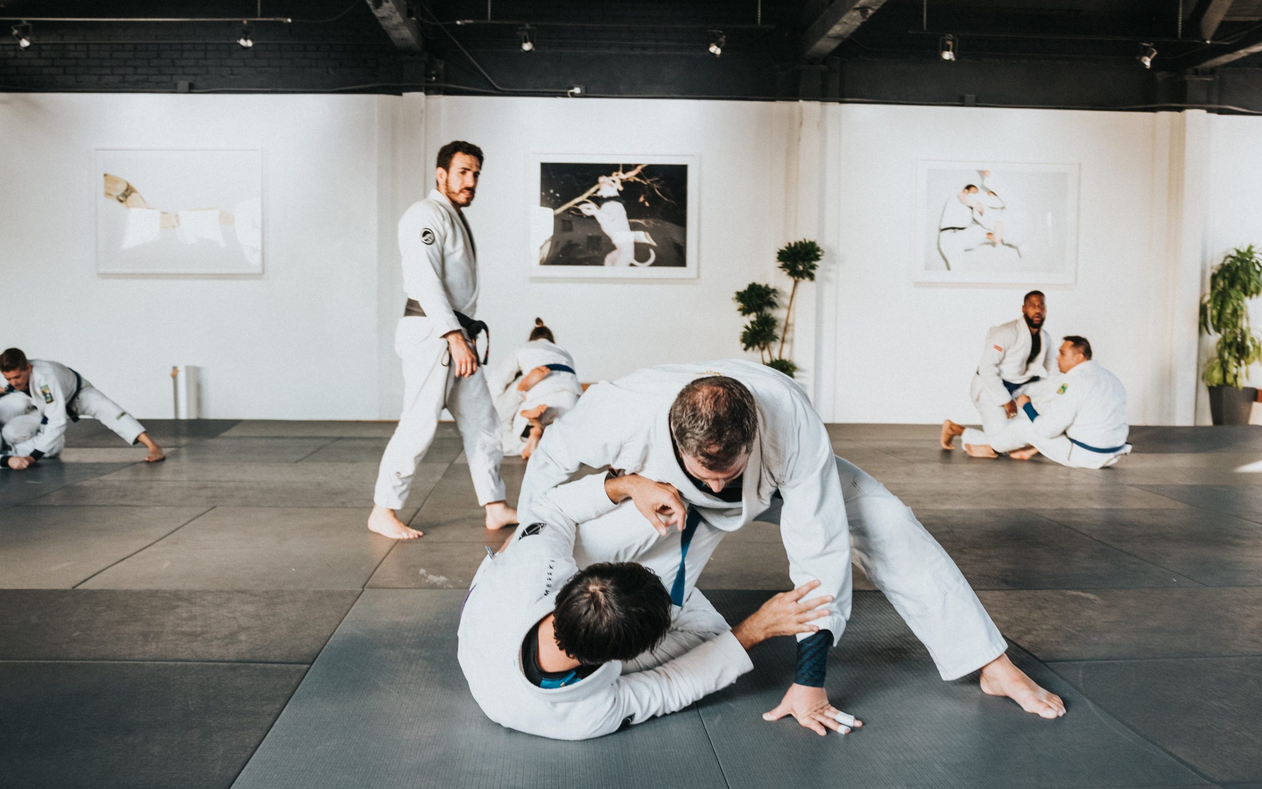 Unsplash free Martial Arts